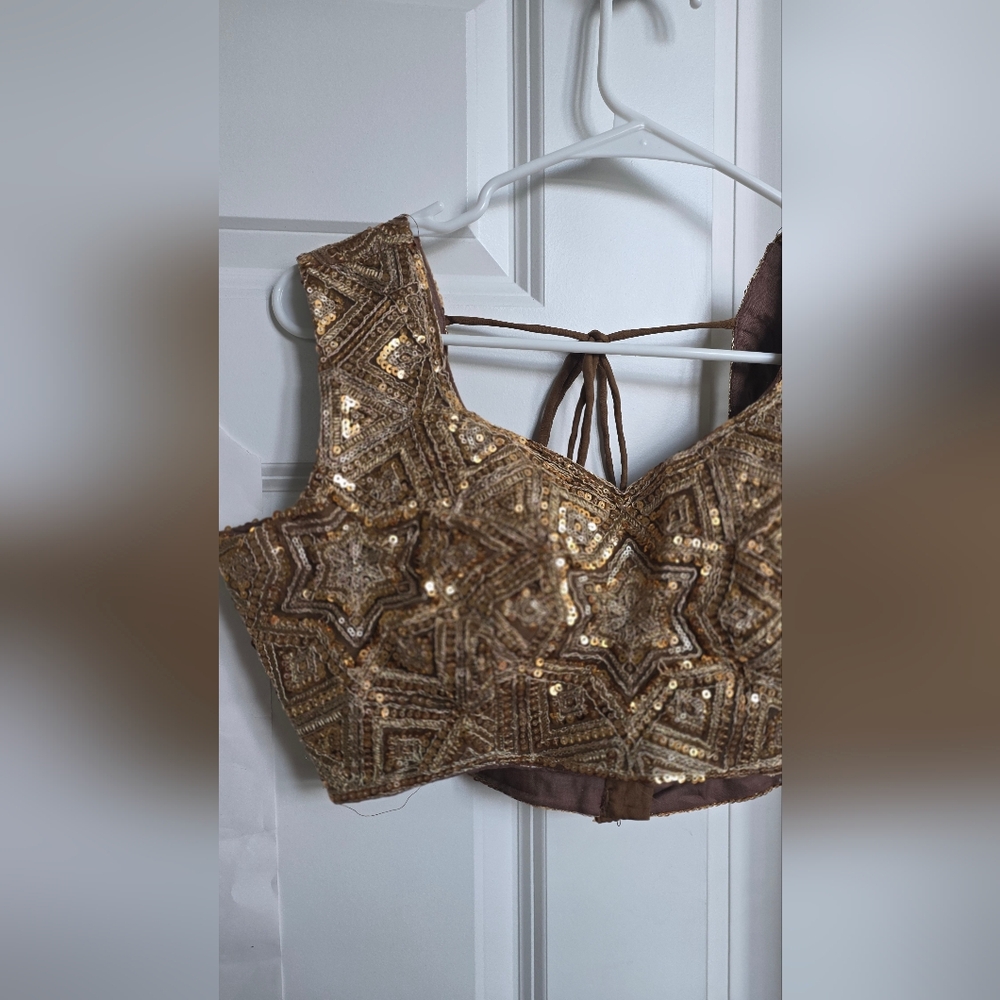 Golden Brown Net Embroidered Lehenga Choli - Picture 10 of 13